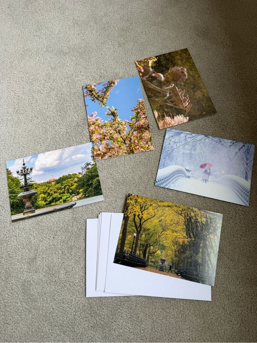 🗽Central Park NYC - Set of 5 Scenic Photo Prints & Envelopes